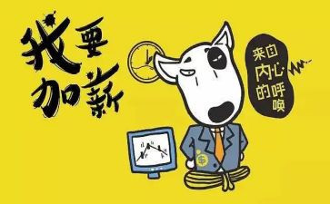 调薪申请个人总结5篇