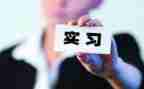 学生毕业顶岗实习报告通用6篇