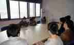 会计的顶岗实习报告优秀7篇