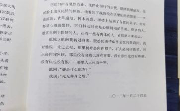 第七天读后感6篇
