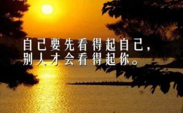 我读懂了作文800字5篇