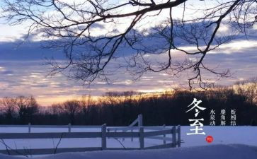 中班冬至活动总结6篇