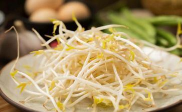 发豆芽的作文通用5篇