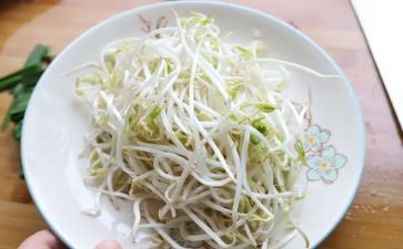 发豆芽的作文参考5篇
