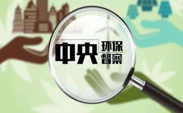 督查室年终工作总结7篇