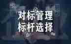 对标管理心得体会精选8篇
