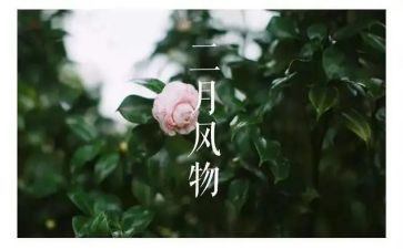 二月的工作总结5篇