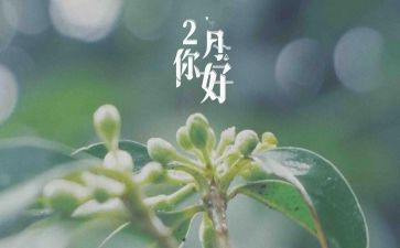 十二月幼儿园工作总结模板8篇