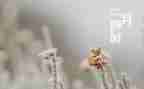 幼儿园教师十二月工作总结6篇