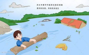 防汛防旱工作总结8篇