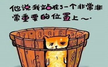 主题活动的总结反思7篇