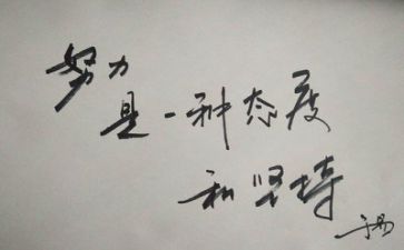 活动总结或反思推荐8篇
