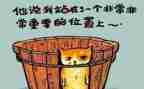 主题活动的总结反思7篇