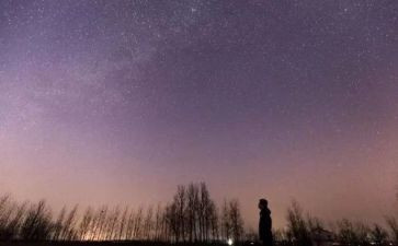 读了繁星的读后感参考5篇