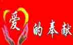 奉献的美演讲稿7篇