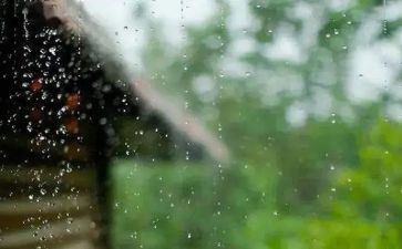 风雨中,我_______作文参考8篇