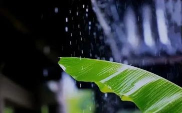 风雨中,我_______作文优质5篇