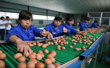 化分检测员实习报告优秀7篇
