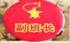 竞选副班长演讲稿15字6篇