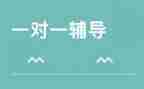 辅导培训工作总结6篇