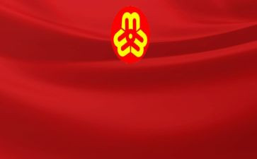 村妇联的工作总结最新5篇