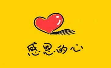 关于感恩日活动总结5篇