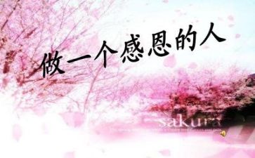 关于感恩的作文300字参考5篇