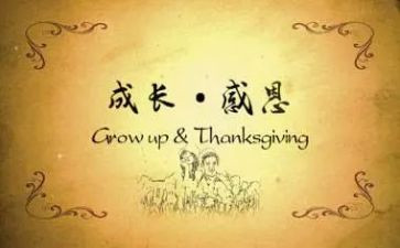 关于感恩演讲稿800字5篇