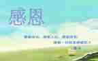 感恩活动的总结参考7篇