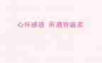 感恩老师演讲稿600字8篇