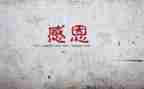 感谢挫折的作文7篇