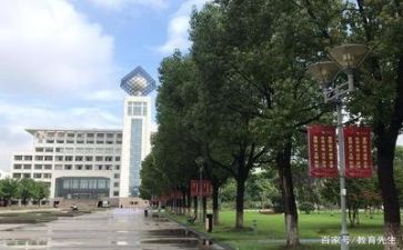 高校教师工作计划5篇