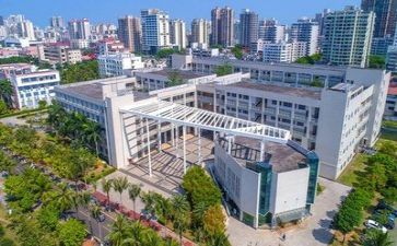 高校个人总结报告5篇