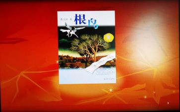 根鸟读后感优秀7篇