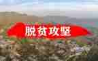工作攻坚心得体会8篇