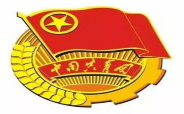 100周年共青团心得体会500字6篇