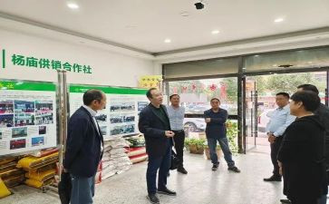 2024年供销科工作总结模板5篇