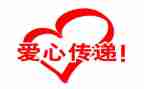 公益组活动总结8篇