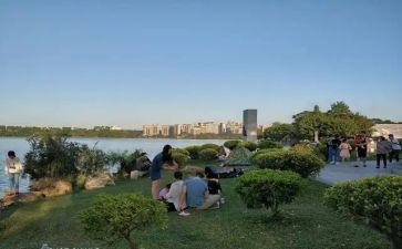 关于公园的作文精选6篇