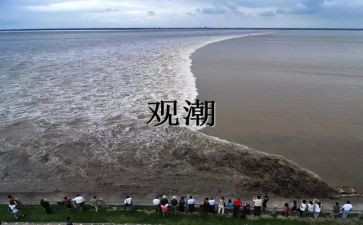 观潮读后感800字7篇