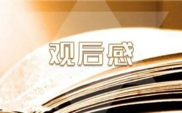 培训心得体会观后感8篇