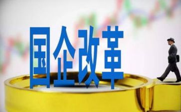 国企党支部述职报告6篇