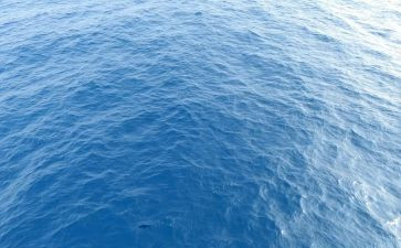 海伦凯勒,读后感7篇
