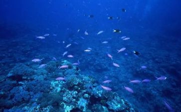 海底2万里心得体会5篇