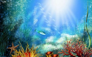 《海底两万里》的心得模板8篇