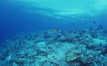 海底捞心得体会5篇