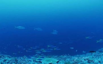 海底两万里的读书心得体会优质6篇