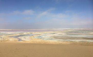 海砂调查报告范文推荐7篇