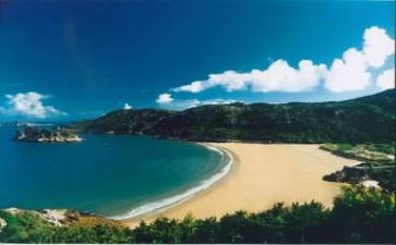 海砂调查报告模板精选6篇