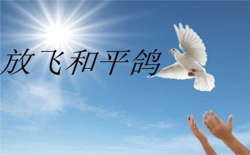 战争与和平的读后感优秀7篇